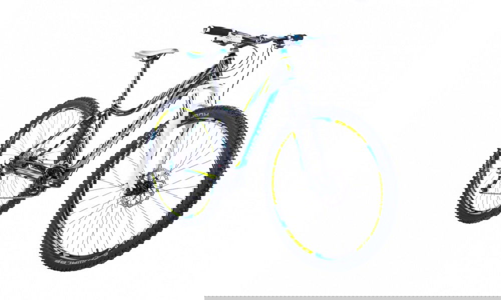 Rower górski Monteria Fitness 29er 2017