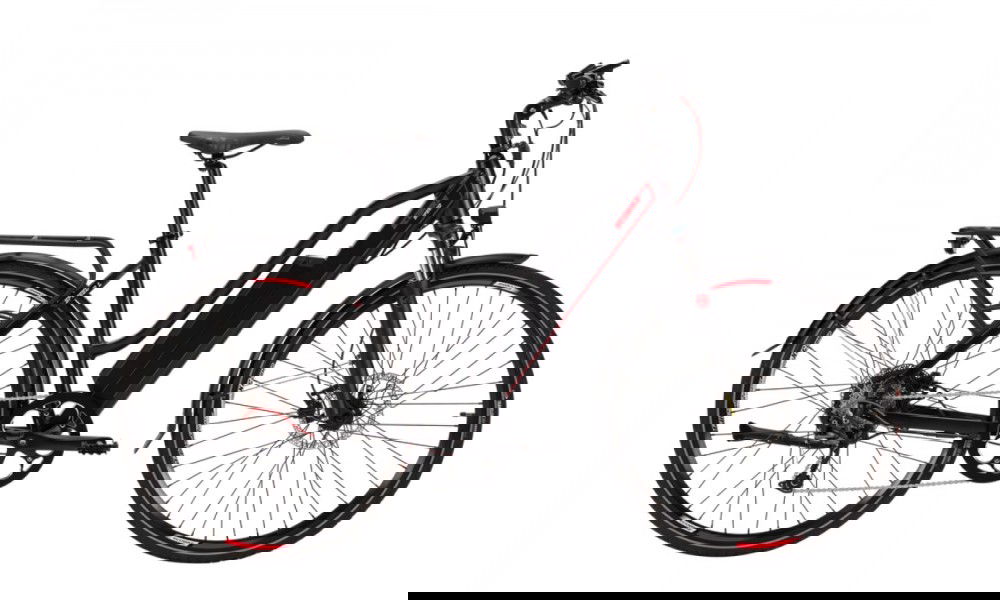 Rower trekingowy elektryczny Ecobike speed L 2017