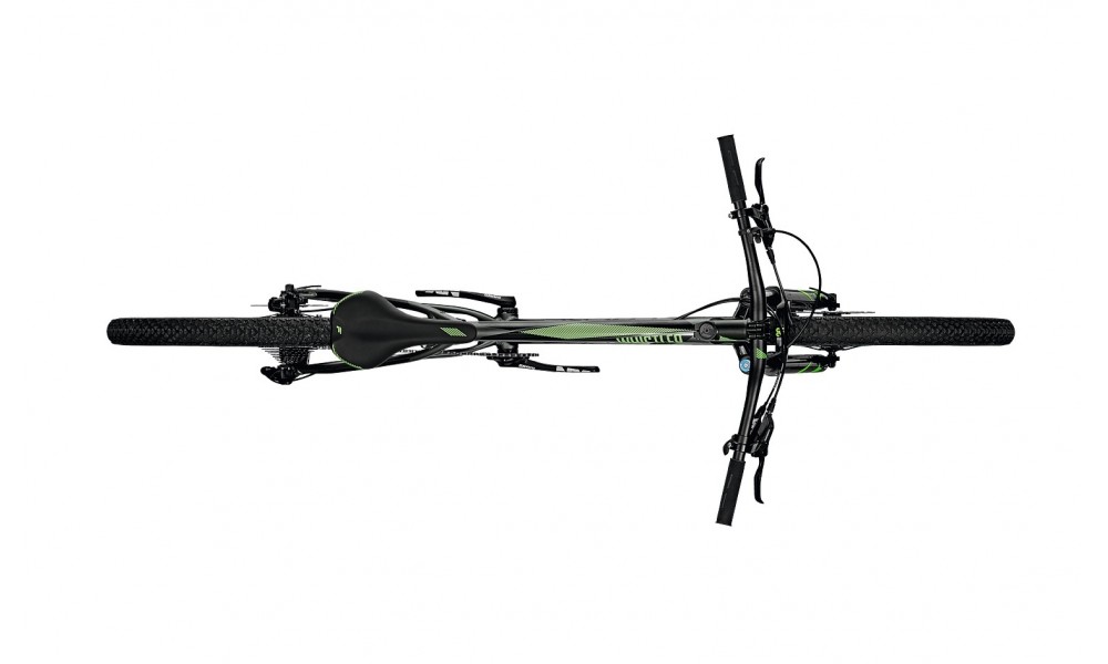 Rower górski Focus Whistler Pro 29 
