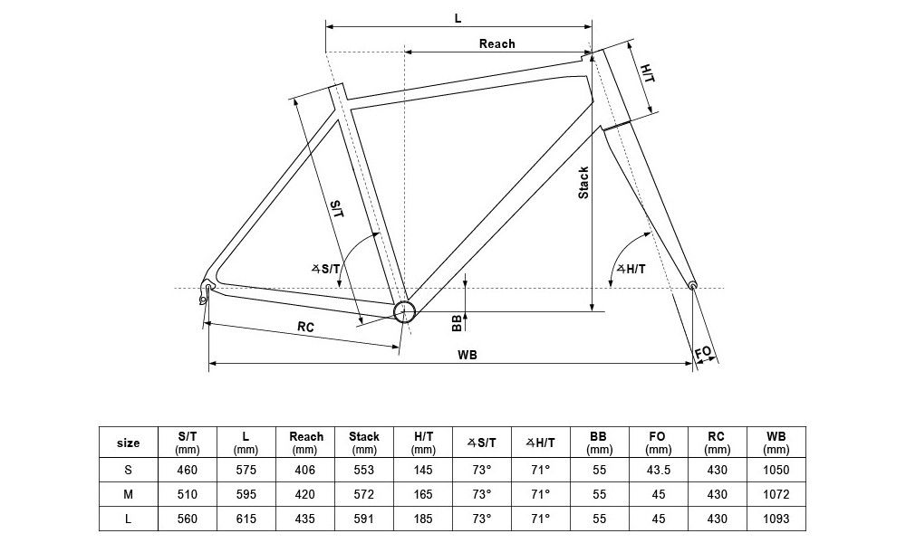 Rower fitness Kellys Physio 30 2019