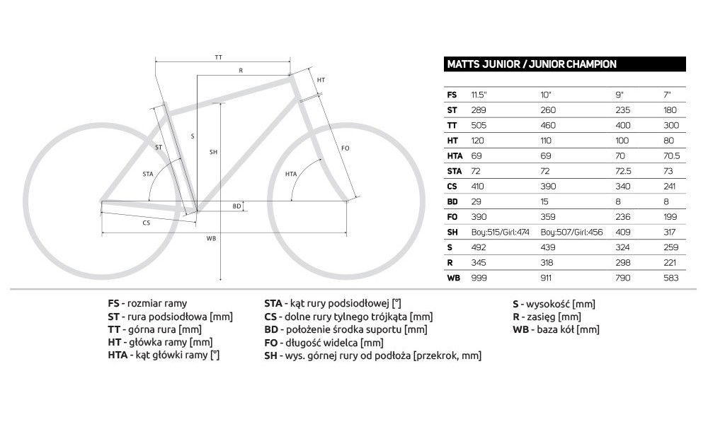 Rower dziecięcy Merida Matts J20 2019