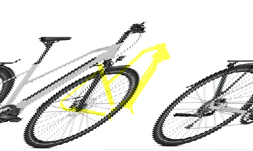 Rower elektryczny trekkingowy Kalkhoff Endeavour 5.S Move Lady 2019