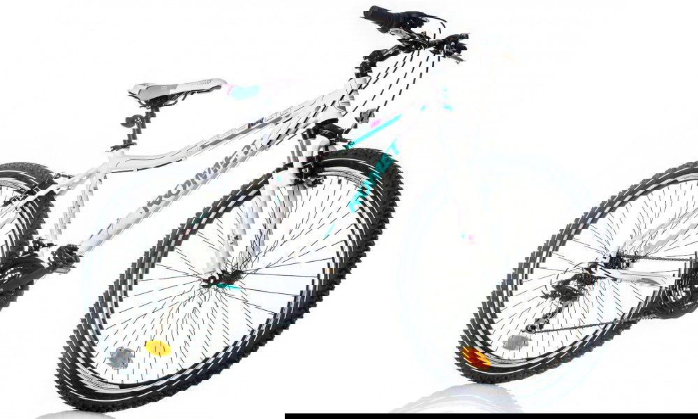 Rower górski Romet Jolene 1.0 LTD 2014