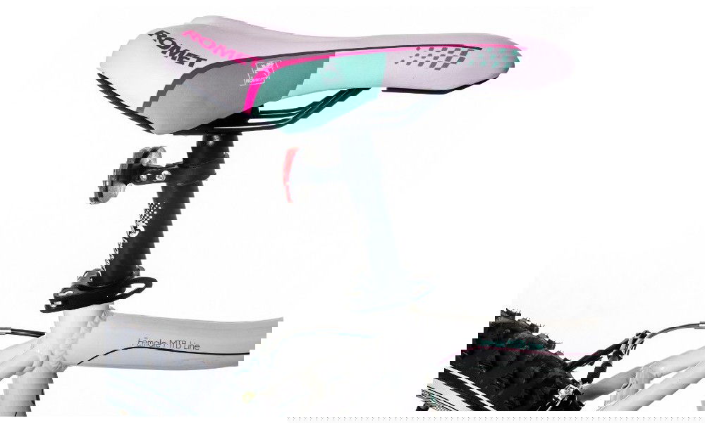 Rower górski Romet Jolene 1.0 LTD 2014
