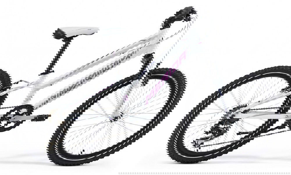 Rower dziecięcy Merida Matts J20 L 2015