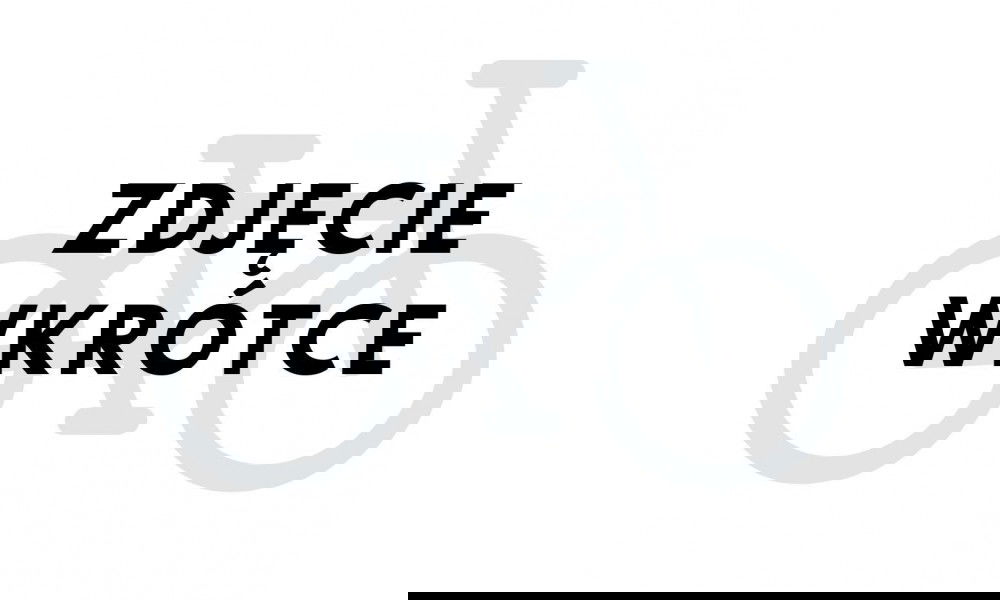 Rower trekkingowy elektryczny Romet ERT 201 M 2023 rama 20 cali