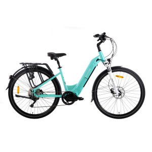 Rower trekkingowy elektryczny Ecobike D2 2023 - miętowy 1