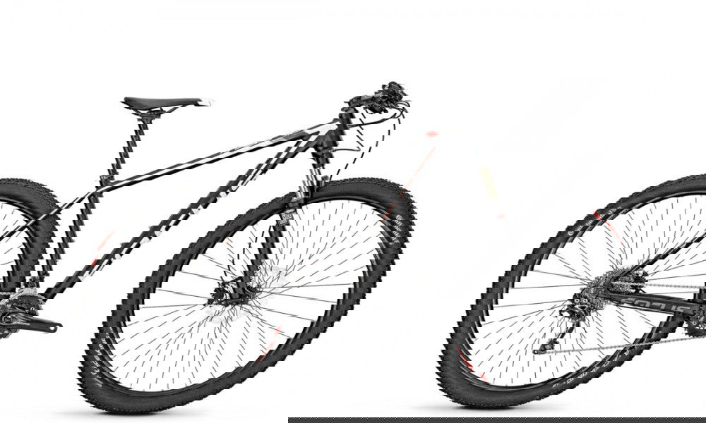 Rower górski Focus Dogfish 2.0 24G