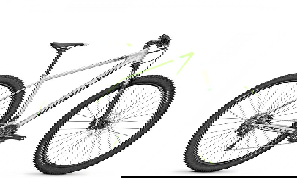 Rower górski Focus Dogfish 2.0 24G
