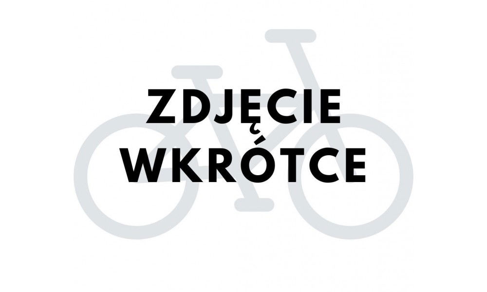 Rower dziecięcy Unibike Twist 2024