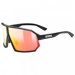 Okulary Uvex Sportstyle 237 CV