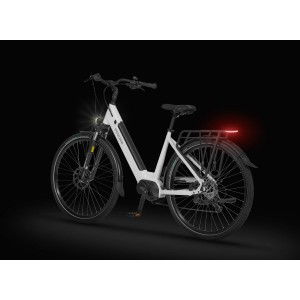 Rower trekkingowy elektryczny Ecobike LX100 - biały 2