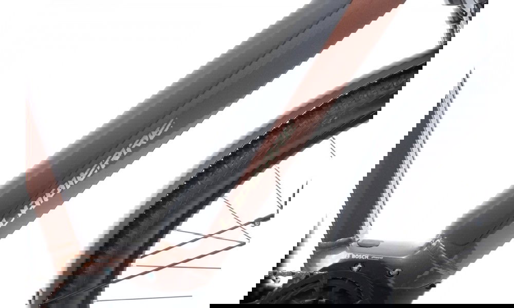 Rower trekingowy elektryczny Lapierre E-EXPLORER 6.5 LS - brązowy