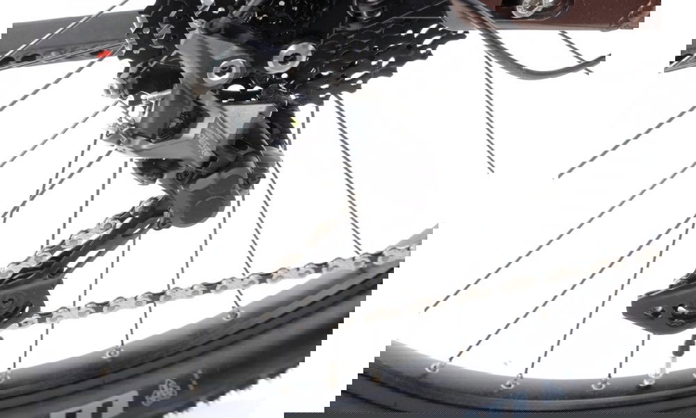 Rower trekingowy elektryczny Lapierre E-EXPLORER 6.5 LS - brązowy