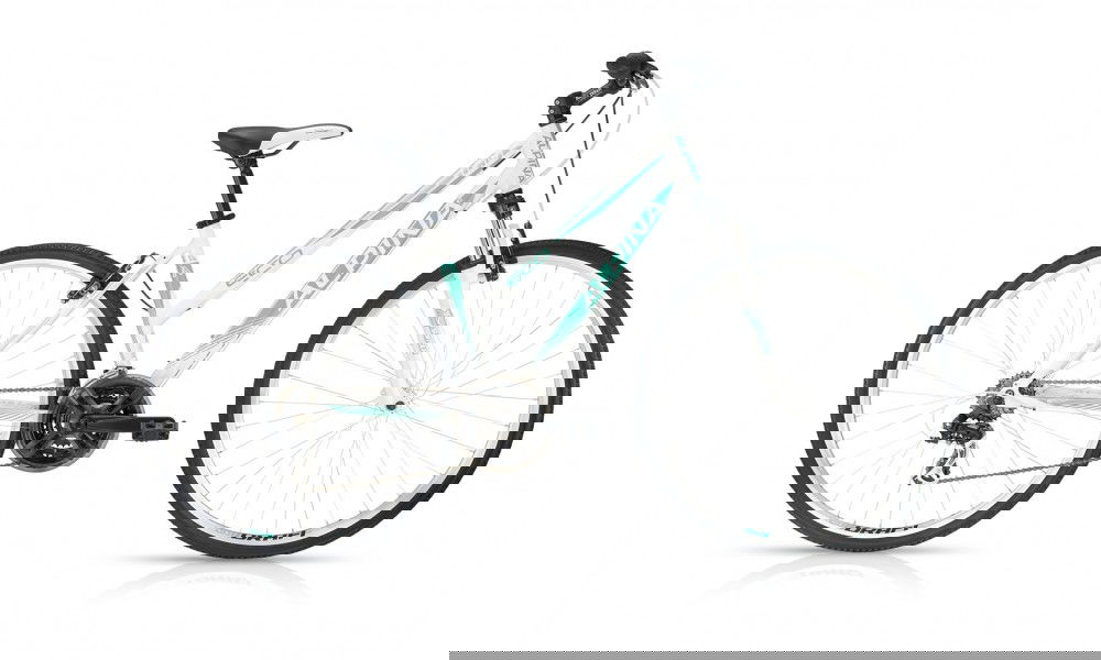 Rower crossowy Kellys Alpina ECO LC10