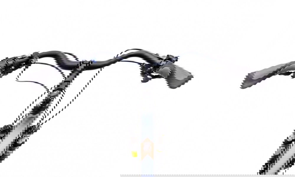 Rower trekkingowy Romet Wagant 10 2024 - grafitowo-ciemnozłoty