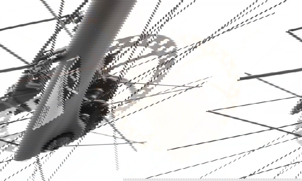 Rower trekkingowy elektryczny Romet Gazela 2.0 2024 - srebrny