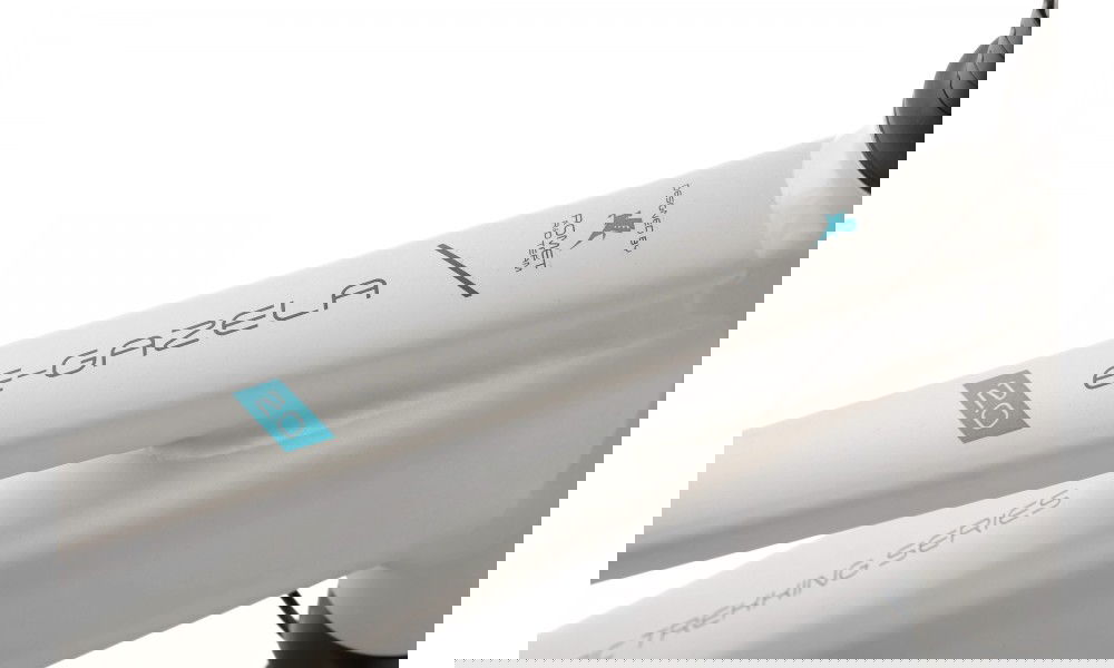 Rower trekkingowy elektryczny Romet Gazela 2.0 2024 - srebrny