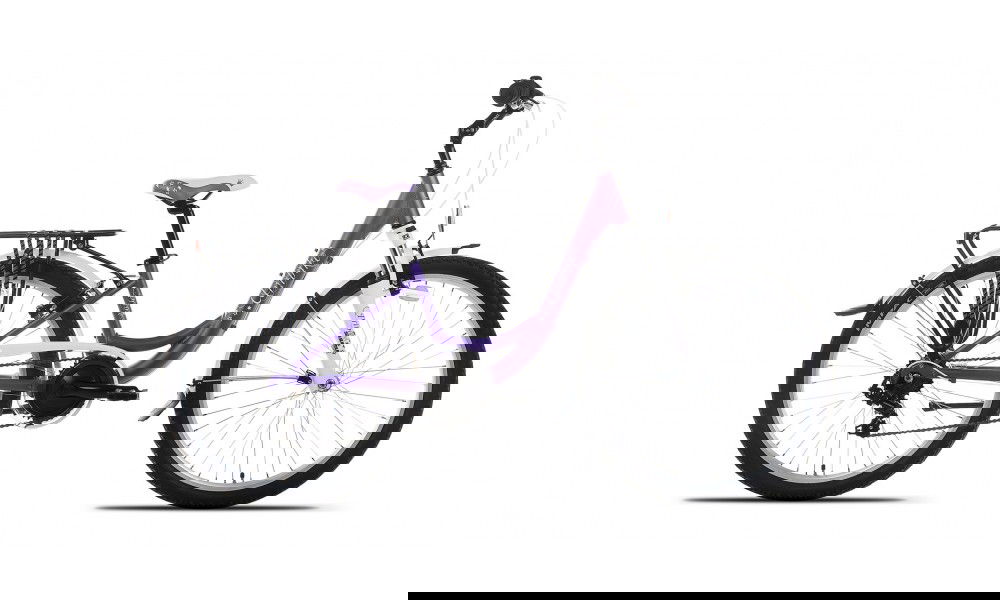 Rower młodzieżowy Unibike Princess 6
