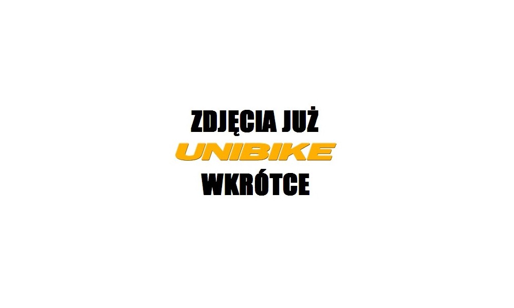 Rower elektryczny Unibike Energy GTS 2016