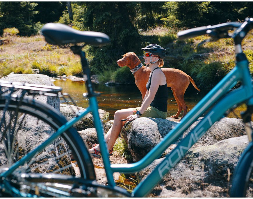 Jaki rower trekkingowy wybrać?